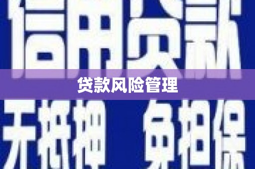 西市贷款风险管理