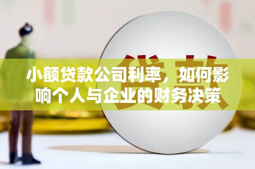 西市小额贷款公司利率，如何影响个人与企业的财务决策
