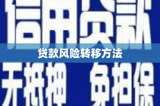 西市贷款风险转移方法