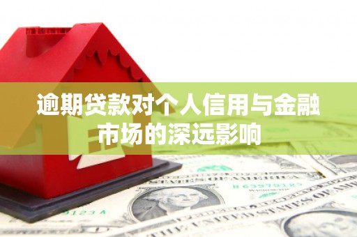 西市逾期贷款对个人信用与金融市场的深远影响