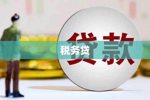 西市税务贷