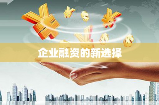 西市企业融资的新选择