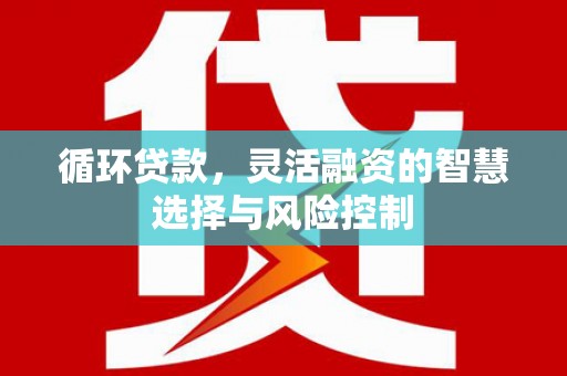 西市循环贷款，灵活融资的智慧选择与风险控制