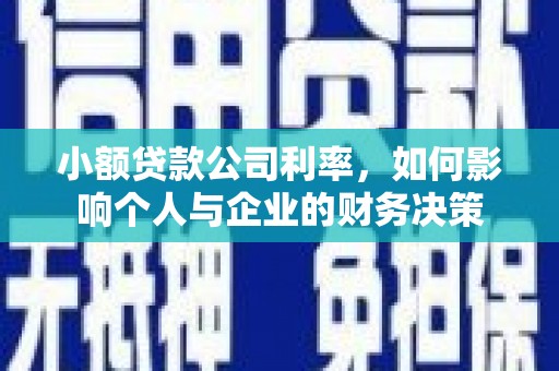 西市小额贷款公司利率，如何影响个人与企业的财务决策