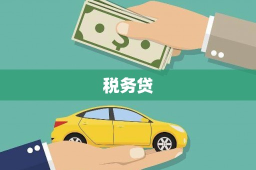 西市税务贷