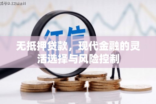 西市无抵押贷款，现代金融的灵活选择与风险控制