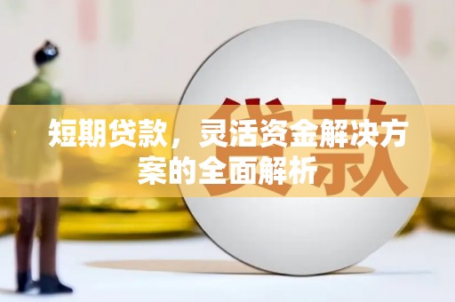 西市短期贷款，灵活资金解决方案的全面解析