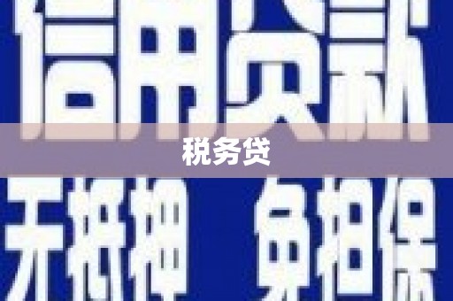 西市税务贷