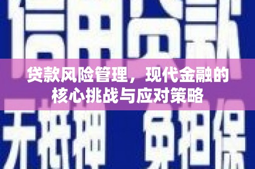 西市贷款风险管理，现代金融的核心挑战与应对策略