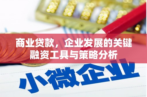 西市商业贷款，企业发展的关键融资工具与策略分析