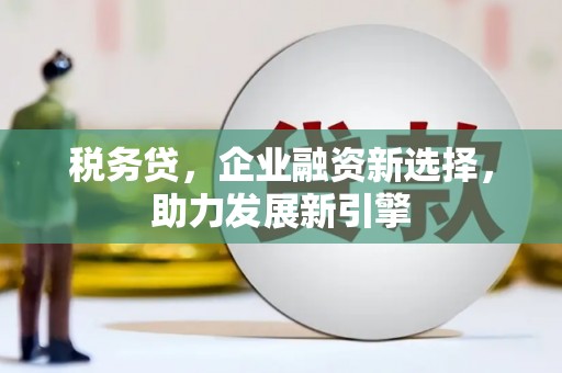 西市税务贷，企业融资新选择，助力发展新引擎
