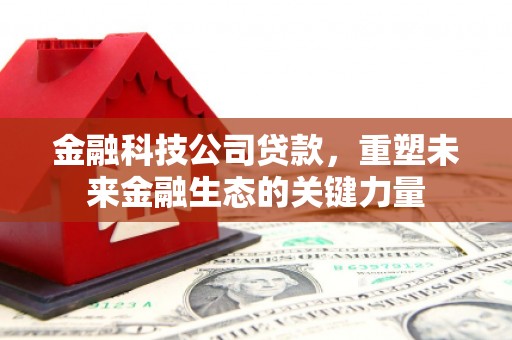 西市金融科技公司贷款，重塑未来金融生态的关键力量