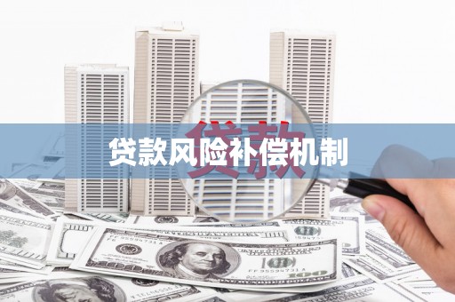 西市贷款风险补偿机制