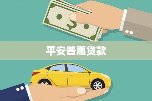 西市平安普惠贷款