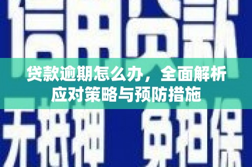 西市贷款逾期怎么办，全面解析应对策略与预防措施