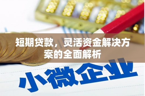 西市短期贷款，灵活资金解决方案的全面解析