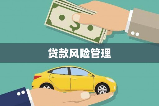 西市贷款风险管理
