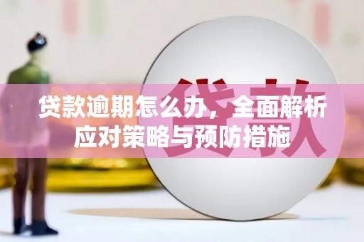西市贷款逾期怎么办，全面解析应对策略与预防措施