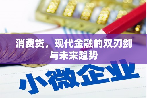 西市消费贷，现代金融的双刃剑与未来趋势