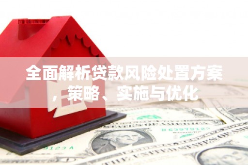 西市全面解析贷款风险处置方案，策略、实施与优化