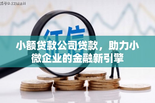 西市小额贷款公司贷款，助力小微企业的金融新引擎