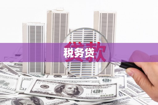 西市税务贷