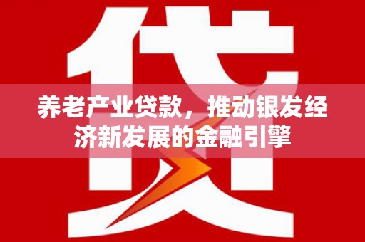 西市养老产业贷款，推动银发经济新发展的金融引擎
