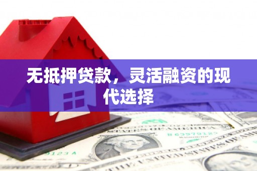 西市无抵押贷款，灵活融资的现代选择