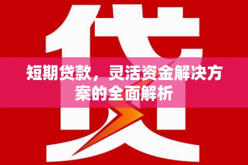 西市短期贷款，灵活资金解决方案的全面解析