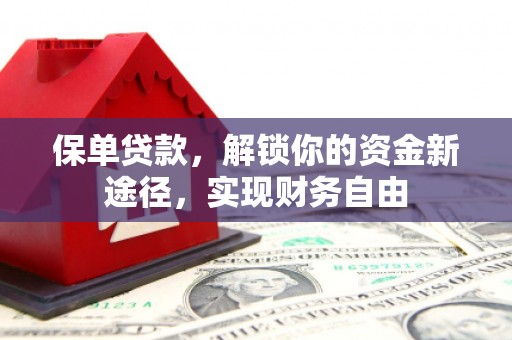 西市保单贷款，解锁你的资金新途径，实现财务自由