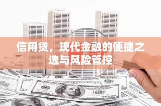 西市信用贷，现代金融的便捷之选与风险管控
