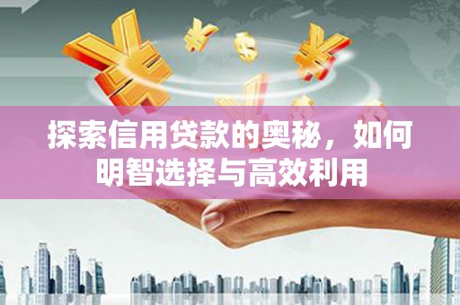 西市探索信用贷款的奥秘，如何明智选择与高效利用