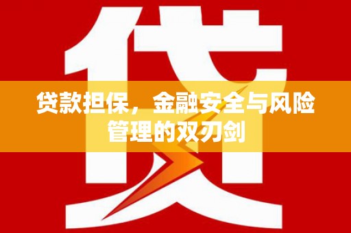 西市贷款担保，金融安全与风险管理的双刃剑