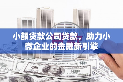 西市小额贷款公司贷款，助力小微企业的金融新引擎