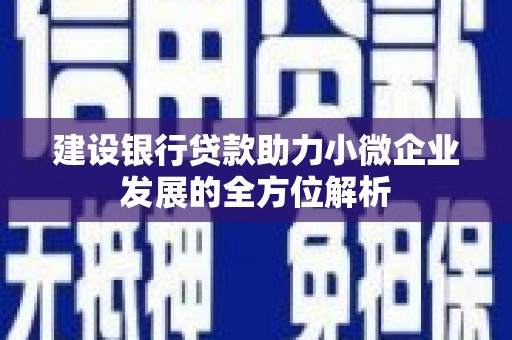 西市建设银行贷款助力小微企业发展的全方位解析