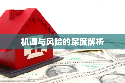 西市机遇与风险的深度解析