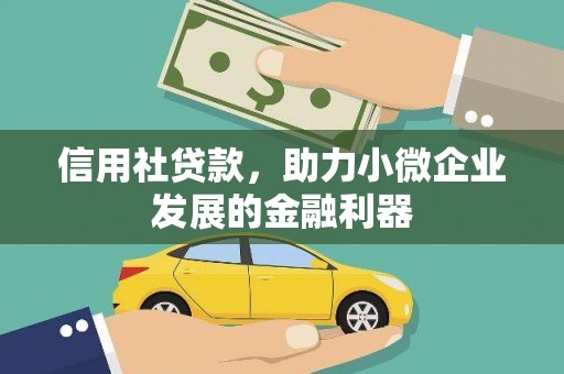 西市信用社贷款，助力小微企业发展的金融利器