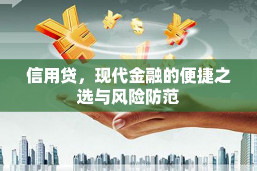 西市信用贷，现代金融的便捷之选与风险防范