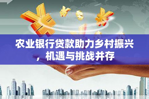 西市农业银行贷款助力乡村振兴，机遇与挑战并存