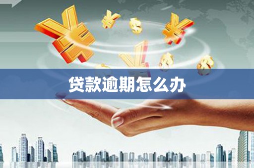西市贷款逾期怎么办
