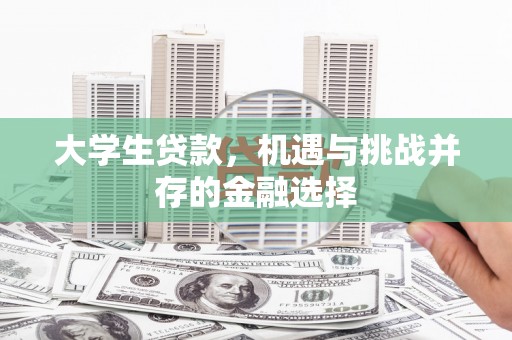 西市大学生贷款，机遇与挑战并存的金融选择