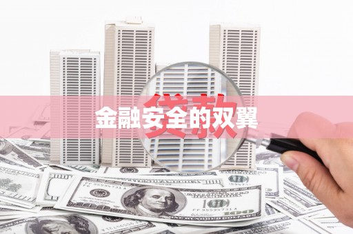 西市金融安全的双翼