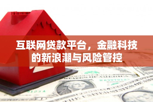 西市互联网贷款平台，金融科技的新浪潮与风险管控