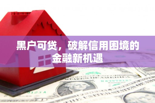 西市黑户可贷，破解信用困境的金融新机遇