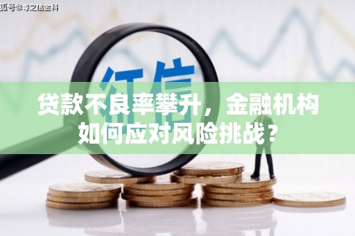 西市贷款不良率攀升，金融机构如何应对风险挑战？