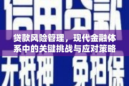 西市贷款风险管理，现代金融体系中的关键挑战与应对策略