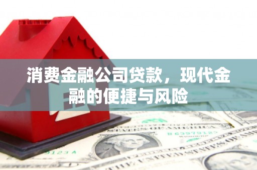 西市消费金融公司贷款，现代金融的便捷与风险