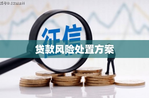 西市贷款风险处置方案