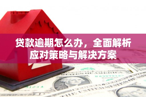 西市贷款逾期怎么办，全面解析应对策略与解决方案