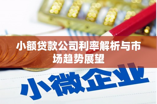 西市小额贷款公司利率解析与市场趋势展望
